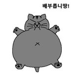 [드루와] 얘들아 어떡하지ㅋㅋㅋ...