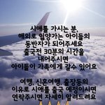 [강아지] 해외이동봉사 부탁드립니다