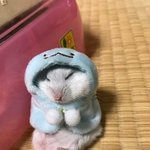 [드루와] 얘들아 연예인 굿즈 <b>플미</b> 신고 할 수 있어?