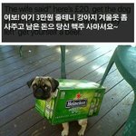 [ㅋㅋㅋㅋㅋ] ?? : 3만원 줄테니까 강아지 옷 <b>사와</b>