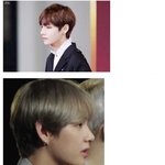 [드루와] 남자 아이돌 콧대 <b>원탑</b>