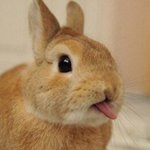 딱<b>뿌리</b>