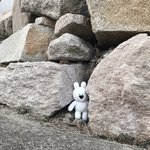[드루와] 누가 돌사이에 <b>인형</b> 끼워놓고 갔어