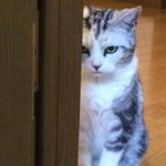 첫<b>인상</b>때문에 고민,,,