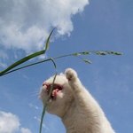 [댓글부탁해] <b>영단</b>어 안다 모른다 추반하자
