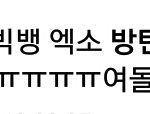 [드루와] 블랙<b>핑크</b>가 빅뱅엑소방탄 제쳐야된다는 블핑<b>팬</b>