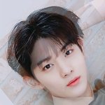 [드루와] 워너원 <b>합성</b>짤 보구가