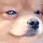 [댓글부탁해] 나 예비고1인데 쌍수 언제하지