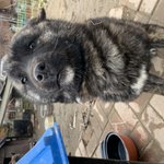 중고 <b>B급</b> 아이패드 에어 그림연습용으로 ㅇㄸ