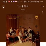 [세븐틴] 공식 아이디 2개인 사람들은