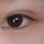 쌍수한<b>달차</b> 눈어때?