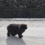 [댓글부탁해] 스트릿 브랜드 모델 왜 다 외국인임