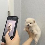 [댓글부탁해] <b>상</b><b>메</b> ㅇㄸ