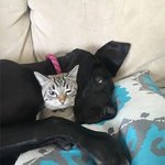 손만잡고<b>자자</b> 약속