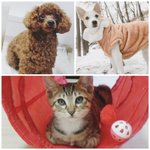 우리집<b>보물</b>들~