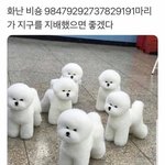 [댓글부탁해] <b>상</b><b>메</b> ㅇㄸ