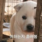 [댓글부탁해] 나 쌍수 잘된거같아???