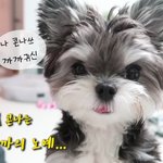 제발 <b>콜라</b>좀 봐죠ㅠㅜㅜ