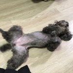 [EXO] 귀엽지