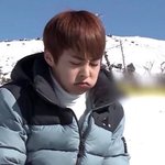 [EXO] 짹에서 봤는데