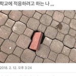 [댓글부탁해] 나 다음주 수요일날 반<b>배정</b>나옴