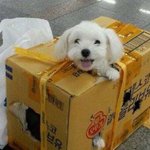 [댓글부탁해] 근데 공중<b>목욕</b>탕에서 생리 터지면 어캄?