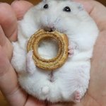 나 오늘 좀많이 예뻤다...