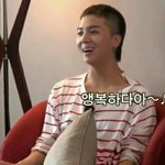 얘들아 이거 조언 좀 해줭
