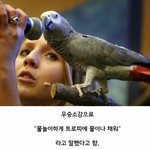 [ㅋㅋㅋㅋㅋ] 말하기 대회에서 <b>우승</b>한 앵무새