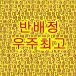 [댓글부탁해] 어떻게 생각해? 내가 너무 호구인건가