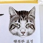 [댓글부탁해] 생일이라고 <b>미역국</b> 먹고잇어