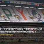 [이것좀봐줘] 봄소식  첫번째로 평화의 바람을 전합니다~!