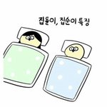 [모두드루와] <b>집돌</b>이, <b>집</b>순이 특징