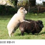 <b>양도</b>합니다