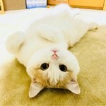 내 <b>짝녀</b>는 이렇게 생겼지