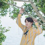 [방탄소년단] 이거어디나온거징