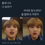 [NCT] 유사남친? ㄴㄴ 유사<b>손주</b>~