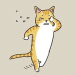 내 이름은