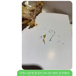 [댓글부탁해] 치킨집에서 철 수세미를 먹으라네요