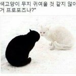 [드루와] 뜬금없는데 이 짤 좀 설레지 않냐