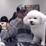 [EXO] 비비는 <b>소형</b>견