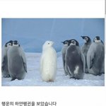 <b>asmr</b> 좋아하는 사람들