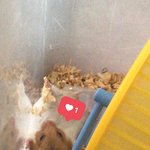 [댓글부탁해] 너네 새학기 슬리퍼 뭐신을<b>거양</b>