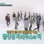 [NCT] 솔직히 콘서트