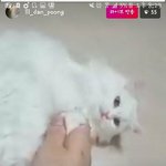 [댓글부탁해] 갤러리 다운로드<b>폴더</b> 5번째 ㄱ