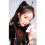 <b>체고</b>