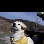 [드루와] 2주만에 생존신고한 <b>절미</b>.jpg