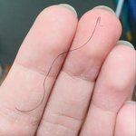 [댓글부탁해] 나 머리카락 수상함;;내가 곱슬인건가?
