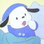 [댓글부탁해] 아니 증사가 실물이냐