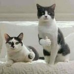 [댓글부탁해] 개명할 이름 <b>이중</b>에 골라주라